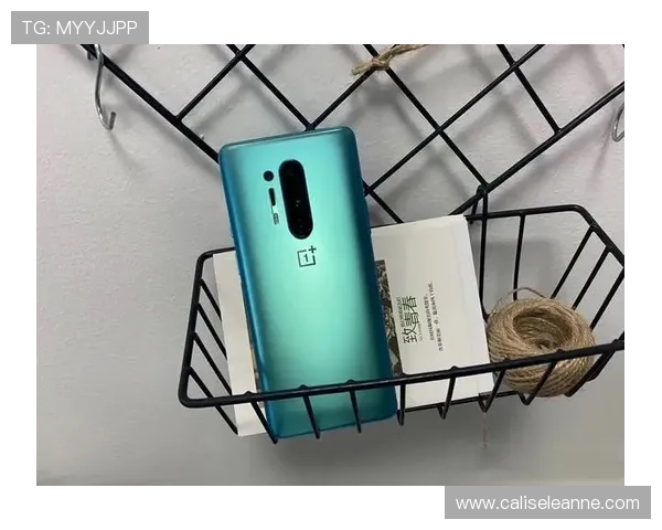 提升账号安全：AG会员登录的常见问题及解决方法揭秘