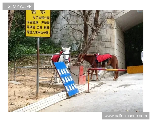 深度剖析PA电子娱乐与传统游乐场的区别与联系