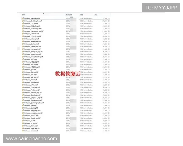 安全可靠的ag视讯下载途径,避免病毒与恶意软件的最佳建议